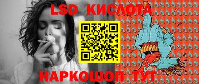 гидра Кандалакша