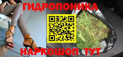 гидра Кандалакша