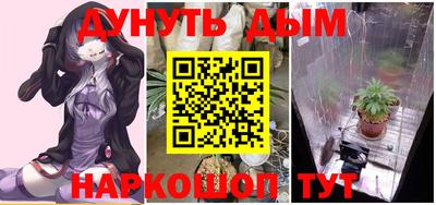 гидра Кандалакша