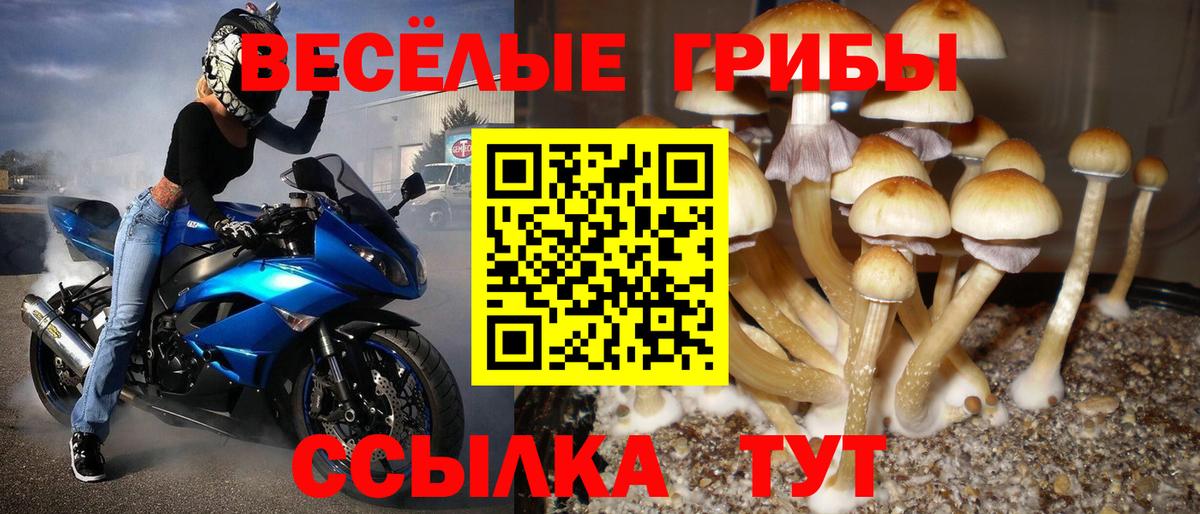 Псилоцибиновые грибы мухоморы  Вход с VPN  Ипатово 